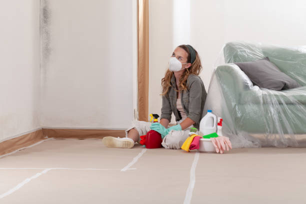 Reliable Mold Removal contractor in Fairview, TX by Mold Remediation HQ
